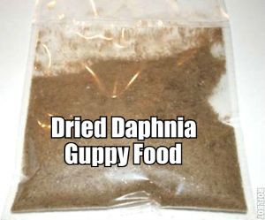 Dried Daphnia