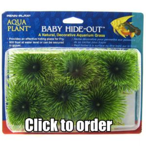 Baby Hide-Out Breading Grass